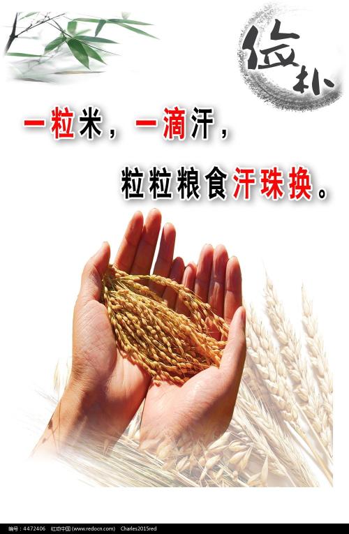 圣心大学留信网购买